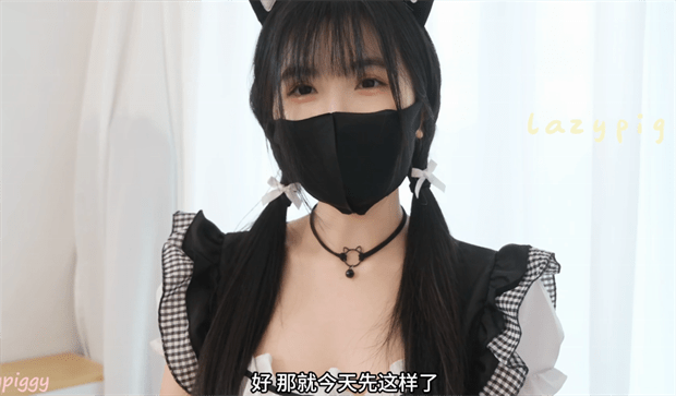 小懒猪-帮助主人深度清洁